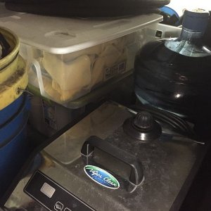 tn_IMG_3713