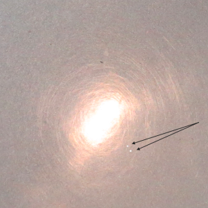 zaf11-18