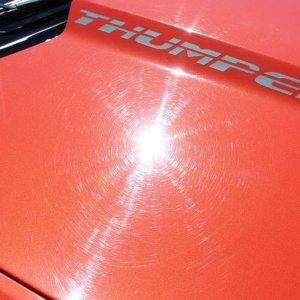 2010 Camaro LSS Swirls Autogeek Paint Mike Phillips