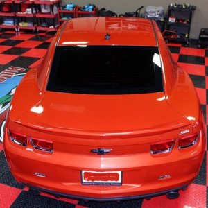 2010 Camaro LSS Swirls Autogeek Paint Mike Phillips