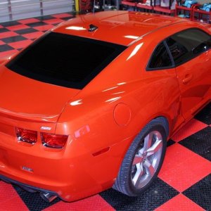 2010 Camaro LSS Swirls Autogeek Paint Mike Phillips