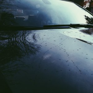 Bird Droppings BMW_03