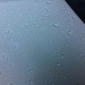 Detailer_Pro_Beads