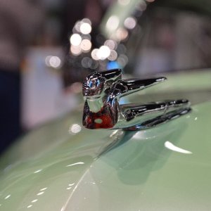 AG-SEMASHOW-414