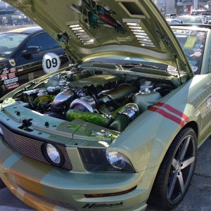 AG-SEMASHOW-543