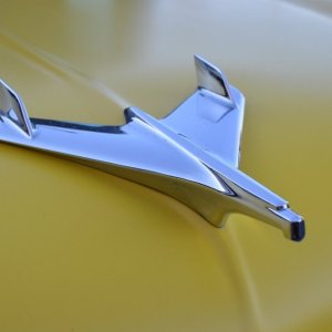 AG-SEMASHOW-10891