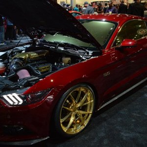 AG-SEMASHOW-13191