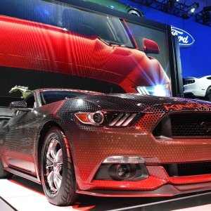AG-SEMASHOW-13251