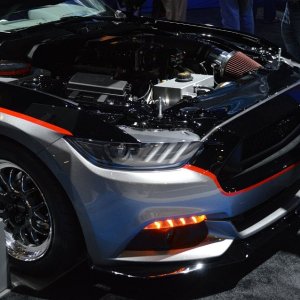 AG-SEMASHOW-13381