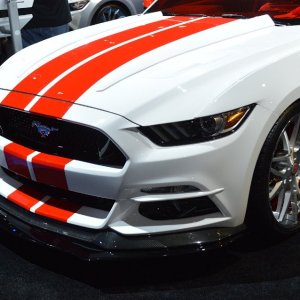 AG-SEMASHOW-13461