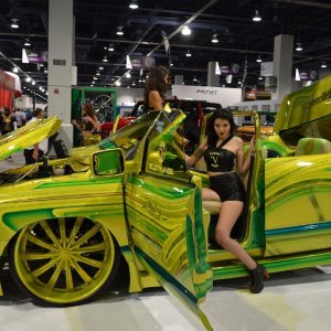 AG-SEMA14-2-1431
