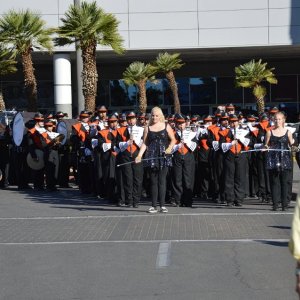 AG-SEMA14-3-1491