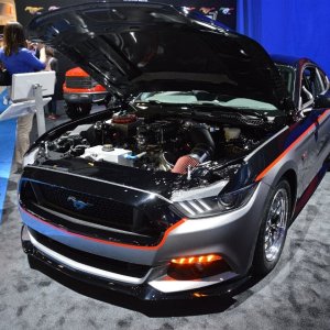 AG-SEMA14-3-1647