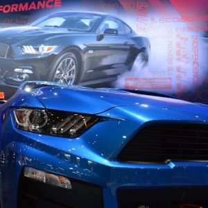 AG-SEMA14-3-1648