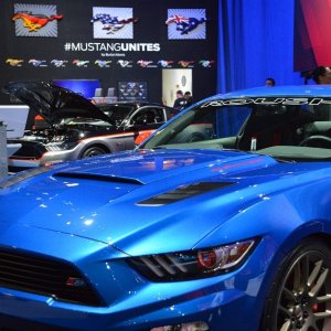 AG-SEMA14-3-1650