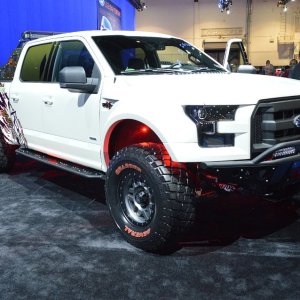 AG-SEMA14-3-1660