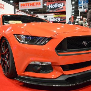AG-SEMA14-3-1694