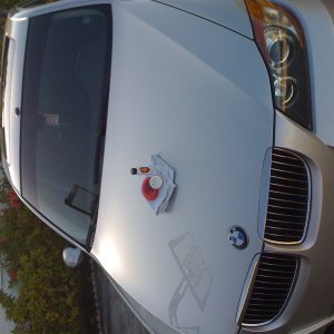SEMA Contest
