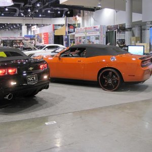 IMG_00461
