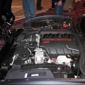 IMG_3180