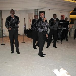 IMG_01291