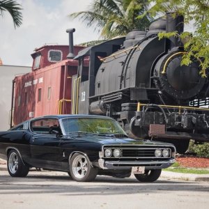 Cobra_with_Train