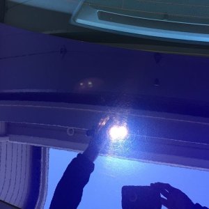tn_IMG_3989