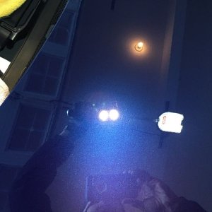 tn_IMG_4008