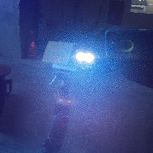 tn_IMG_4010