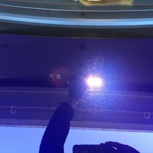 tn_IMG_4018
