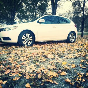 fall