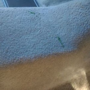 tn_green_stuff_b4