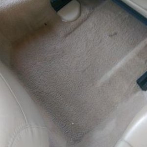 tn_wet_area