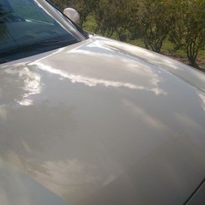 tn_reflection_hood