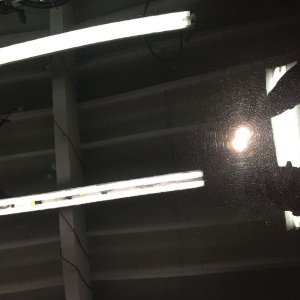 tn_IMG_4212