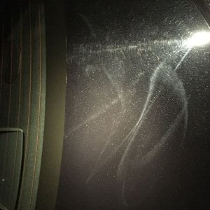 tn_IMG_4219