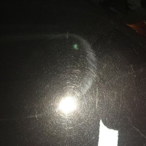 tn_IMG_4226