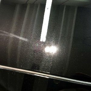 tn_IMG_4230