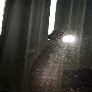 tn_IMG_4231