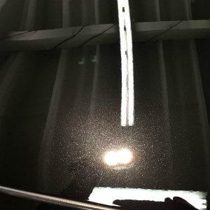 tn_IMG_4254