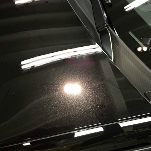 tn_IMG_4261