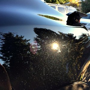tn_IMG_4282