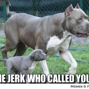 frabz-OkaY-SON-SHOW-ME-THE-JERK-WHO-CALLED-YOU-A-BAD-DOG-8149d9