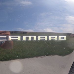 tn_SAM_0992