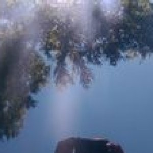 tn_IMAG0457