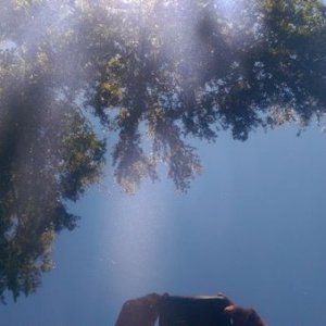 tn_IMAG04571