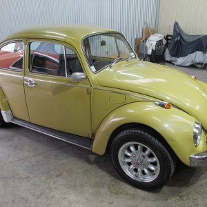 beetle