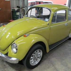 beetle1