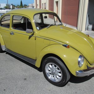 beetle10