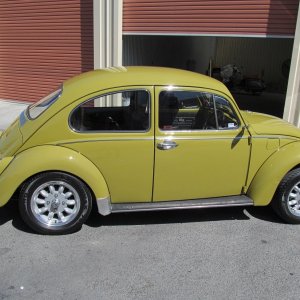 beetle11